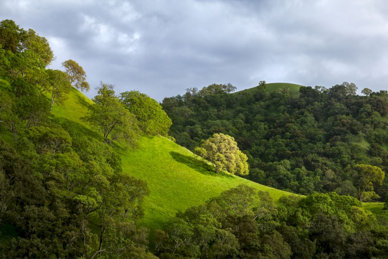 California Hill Country gallery cover